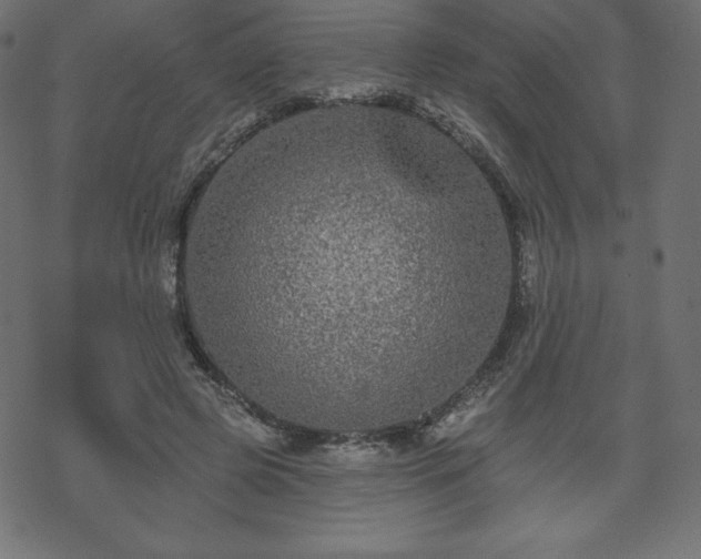 X0000070220545200605301433