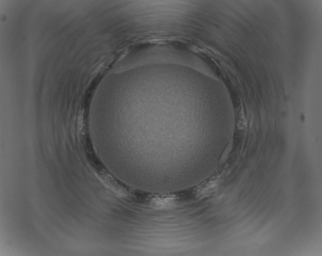 X0000070220560200605301433