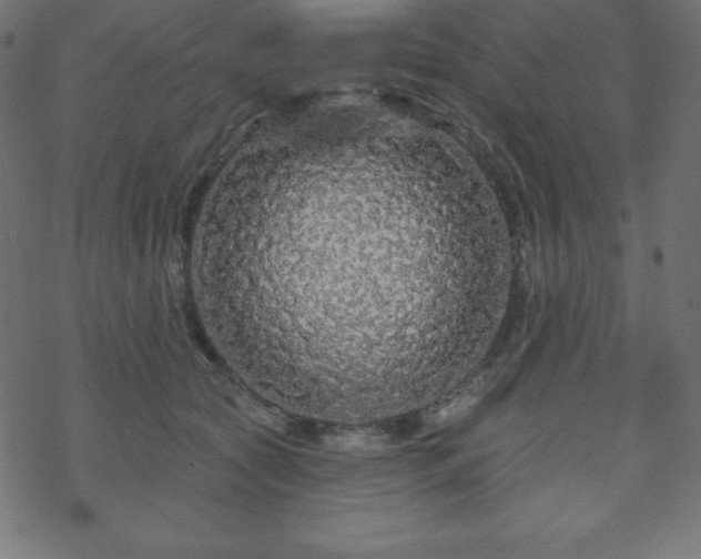 X0000070220561200605301433