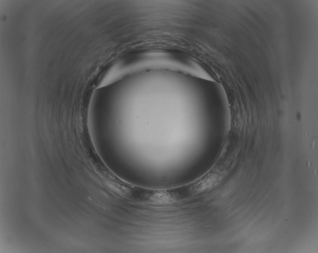 X0000070220562200605301433