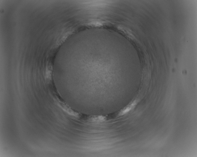 X0000070220576200605301434