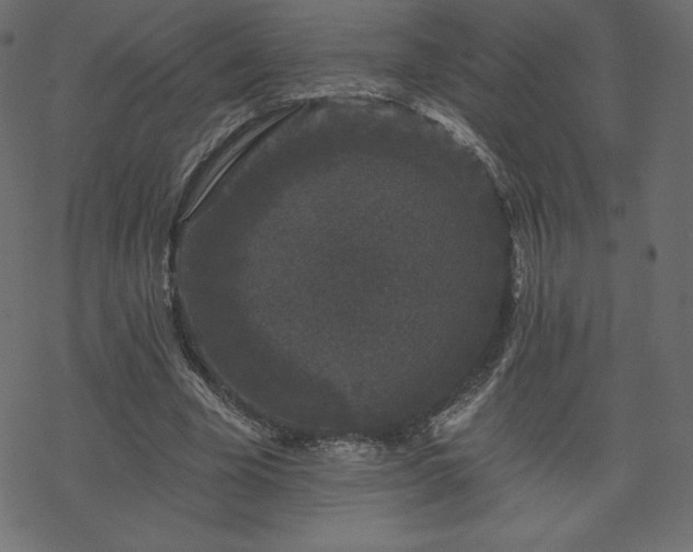 X0000070220585200605301433