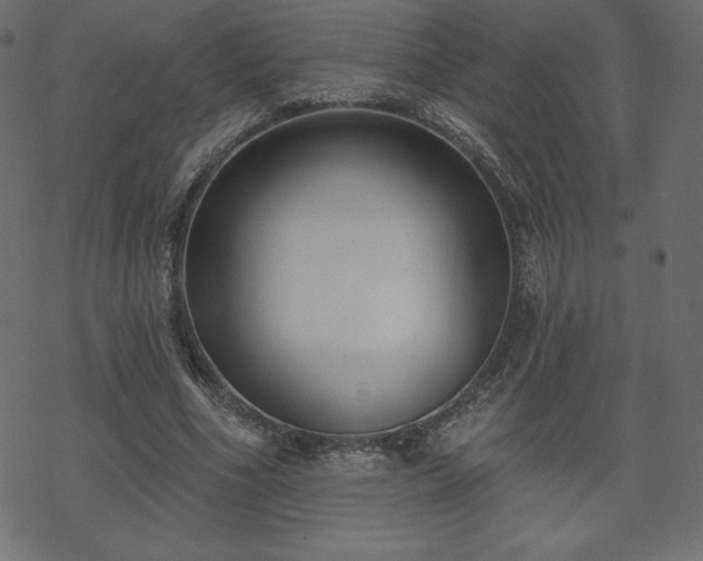 X0000070220586200605301433
