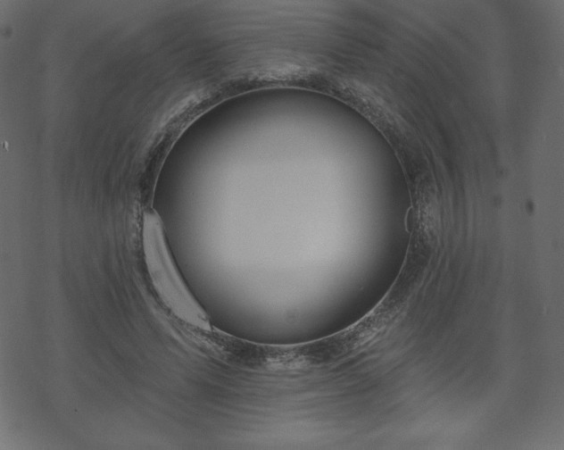 X0000070220591200605301433