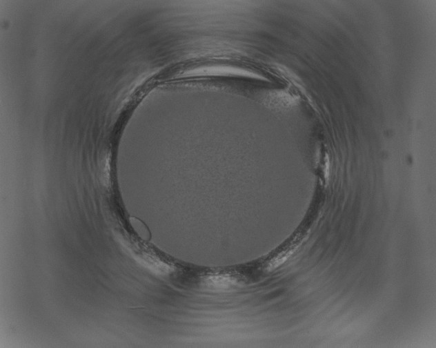 X0000070220596200605301432