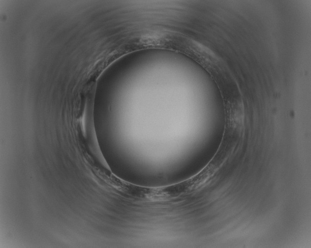 X0000070220603200605301432
