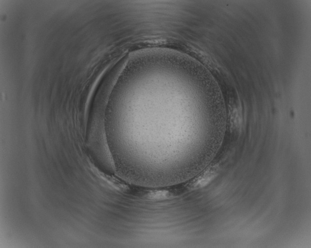 X0000070220609200605301432
