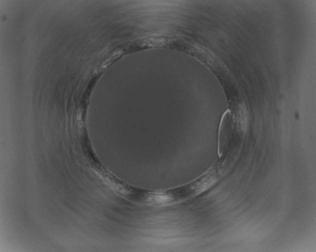 X0000070220610200605301432