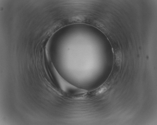 X0000070220617200605301432