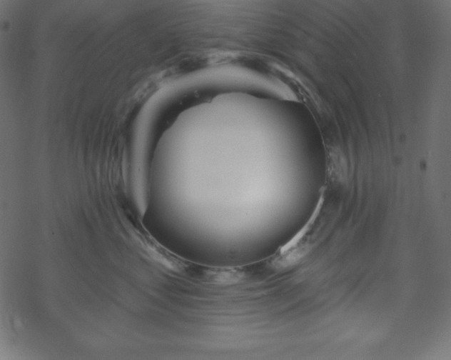 X0000070220621200605301432
