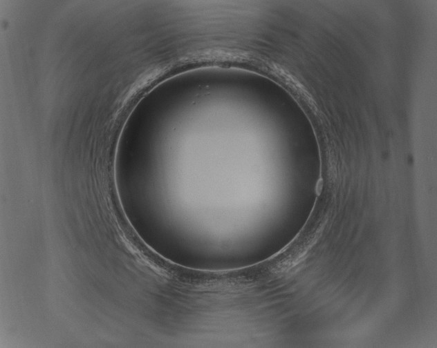 X0000070220625200605301431