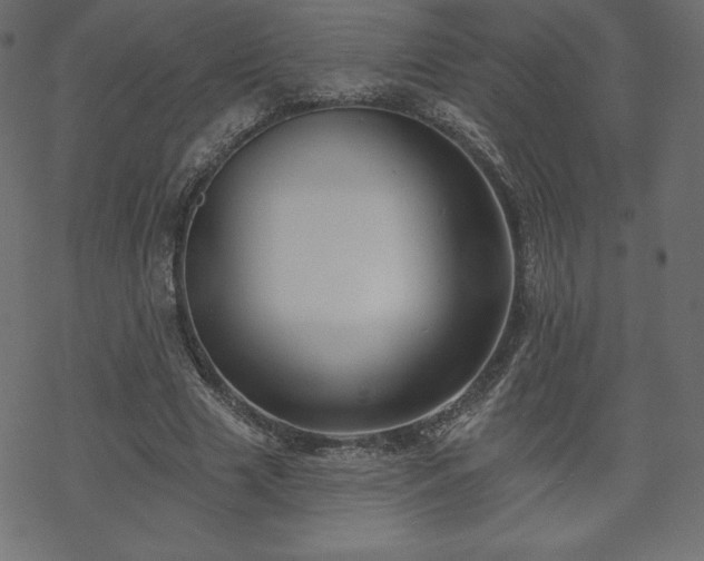 X0000070220633200605301431