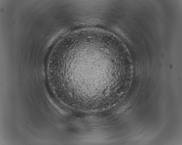 X0000070220634200605301431