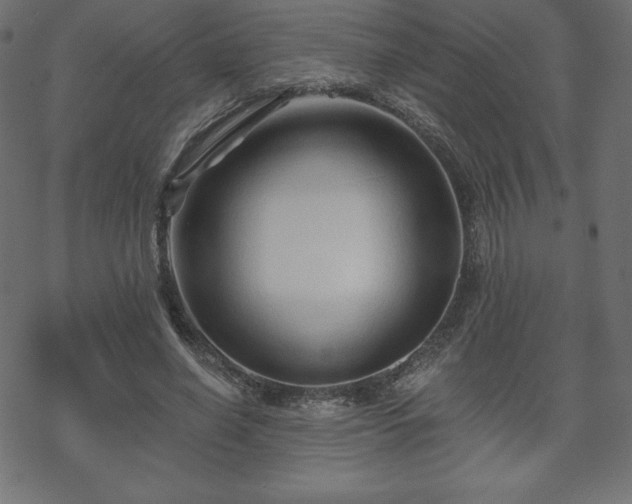 X0000070220638200605301431