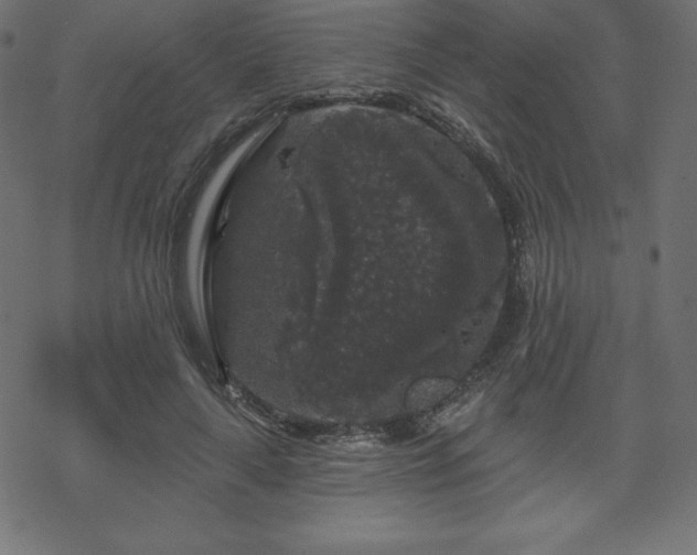 X0000070220643200605301432
