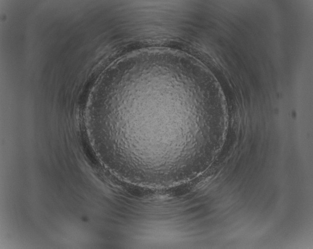 X0000070220647200605301432
