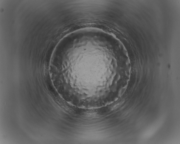 X0000070220651200605301432