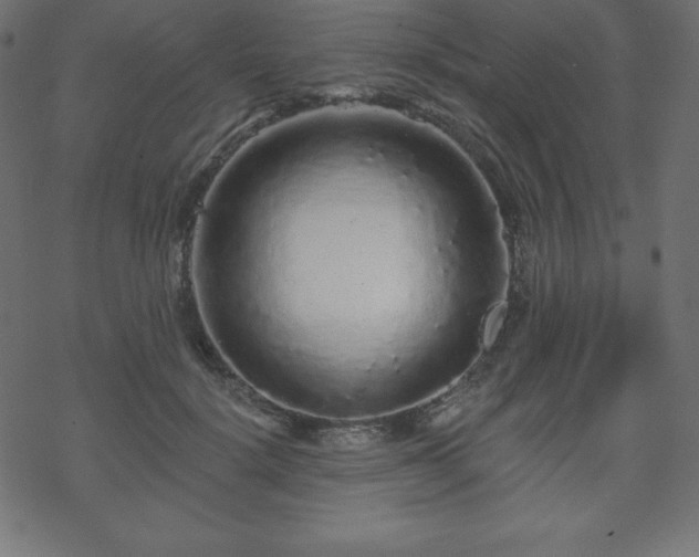 X0000070220652200605301432