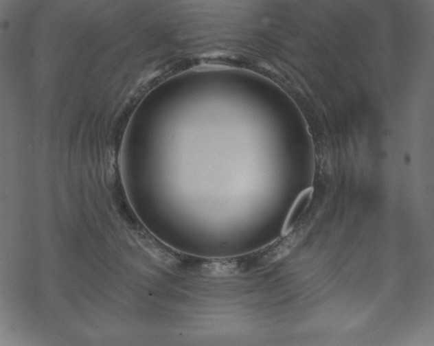X0000070220660200605301432