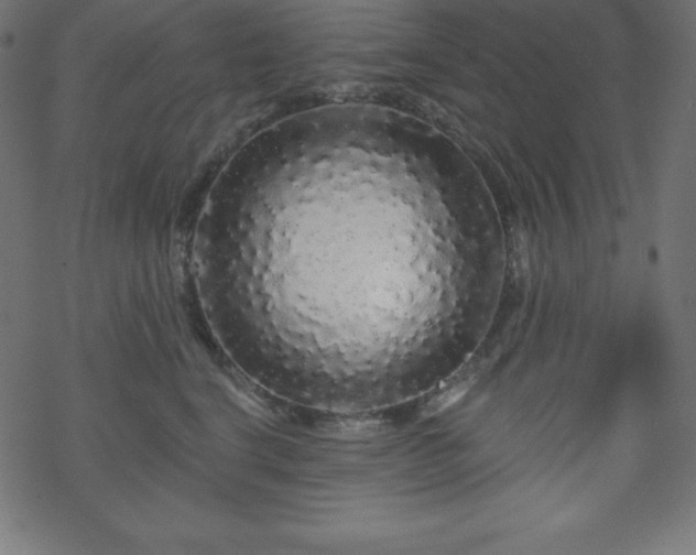 X0000070220664200605301432