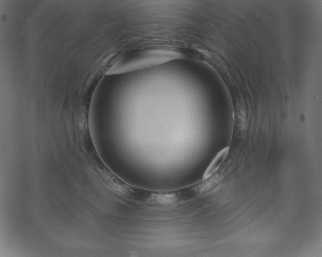 X0000070220665200605301432