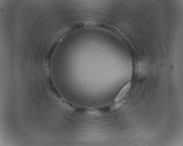 X0000070220666200605301432