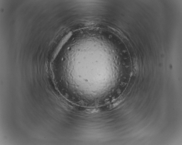 X0000070220667200605301432