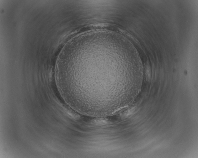 X0000070220668200605301432