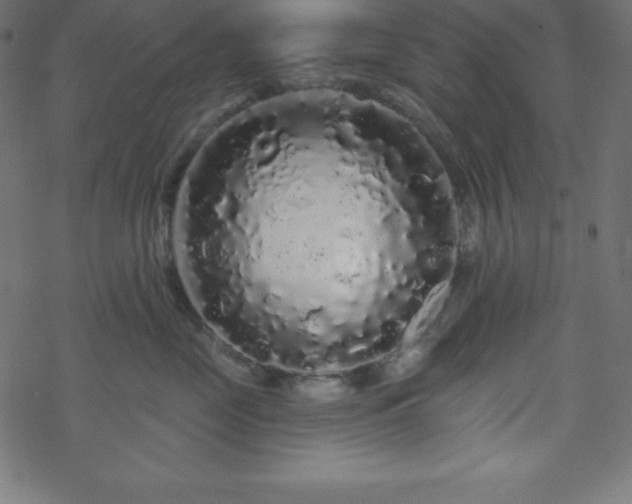 X0000070220669200605301432