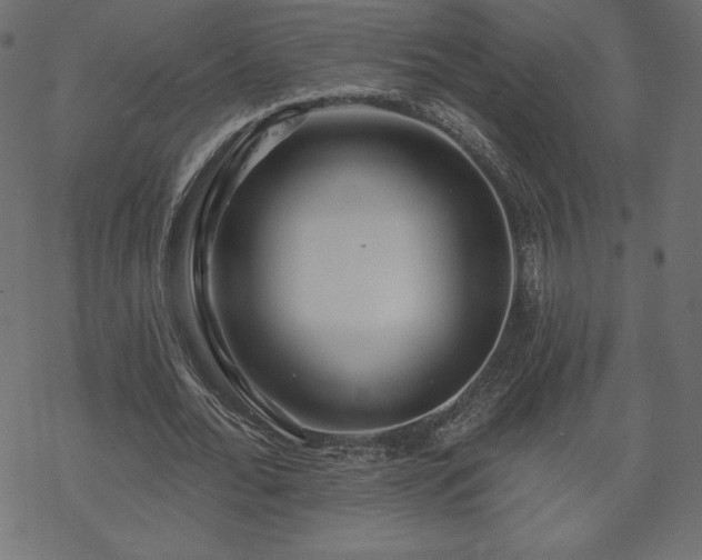 X0000070220676200605301431