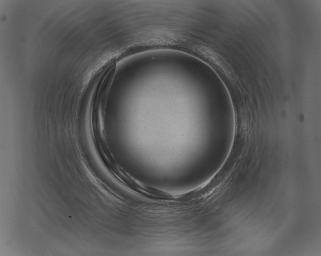 X0000070220677200605301431