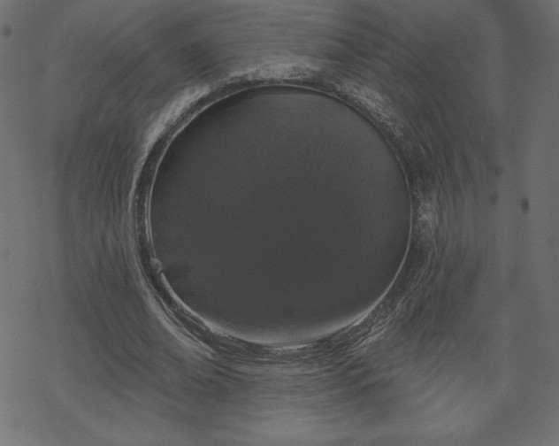 X0000070220678200605301431