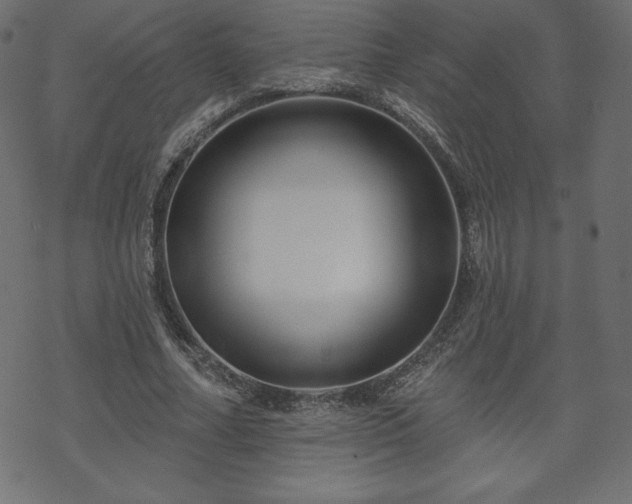 X0000070220682200605301431