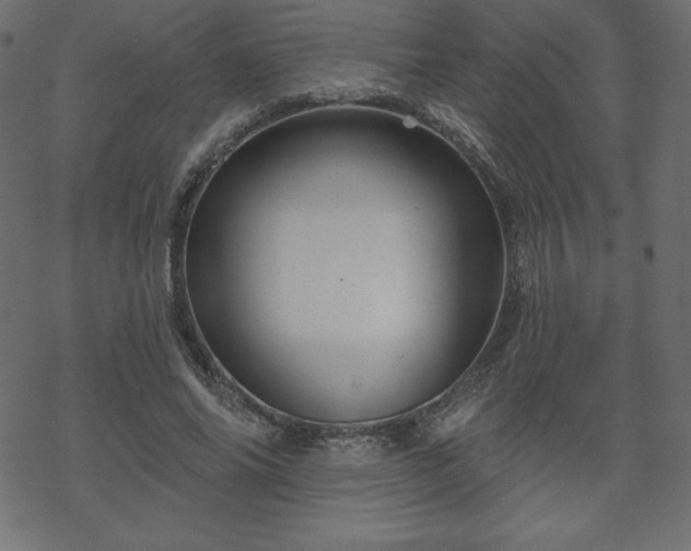 X0000070220686200605301431