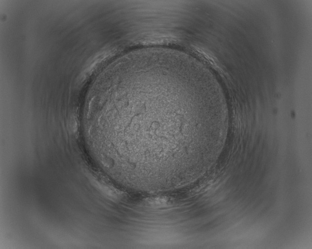 X0000070220687200605301431