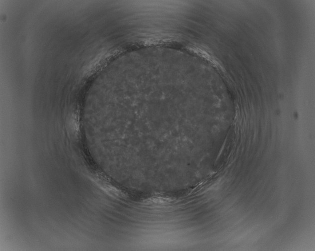 X0000070220691200605301431