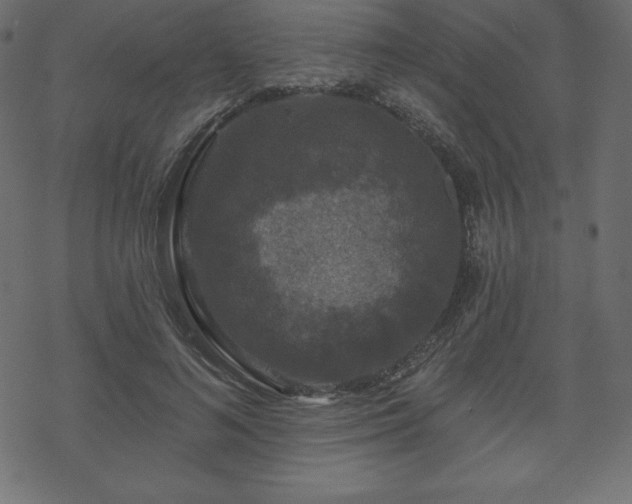 X0000070220692200605301431