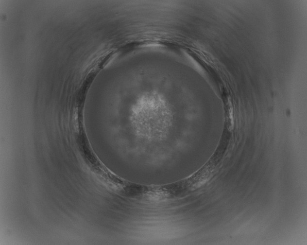 X0000070220696200605301431