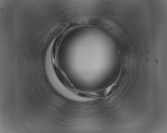 X0000070220697200605301431