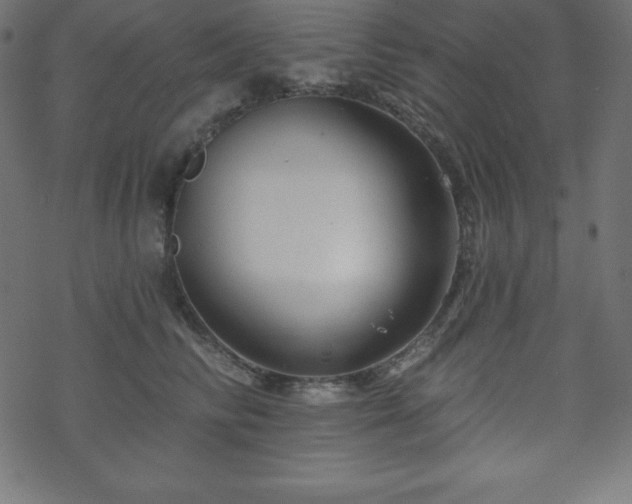 X0000070220710200605301431