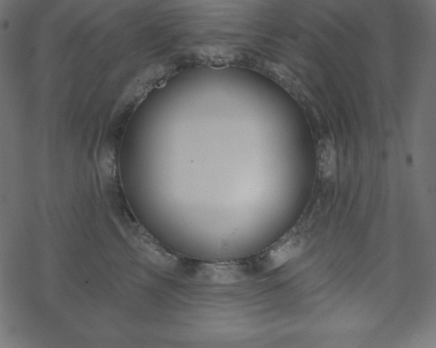 X0000070220713200605301431