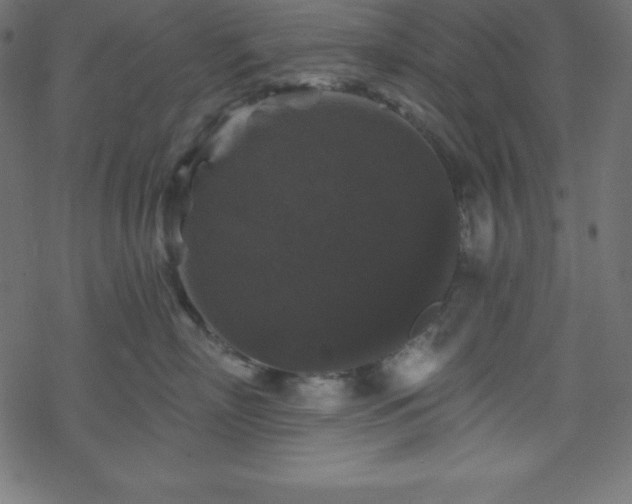 X0000070220718200605301431