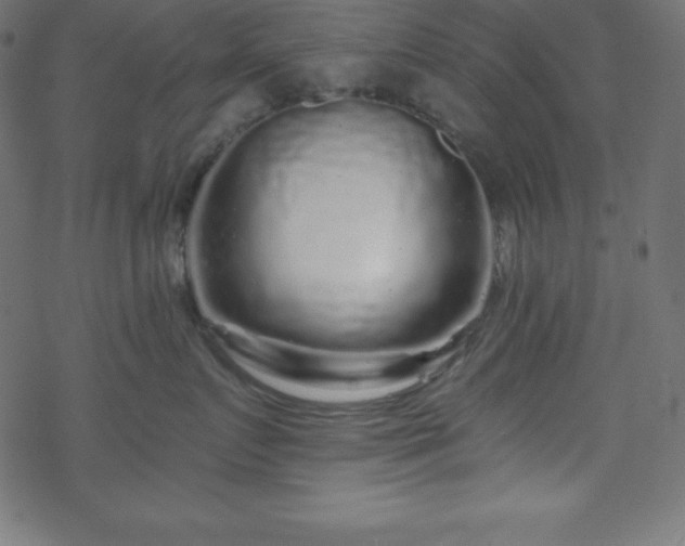 X0000070220719200605301430
