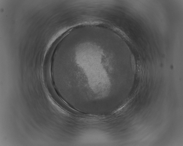 X0000070220726200605301430