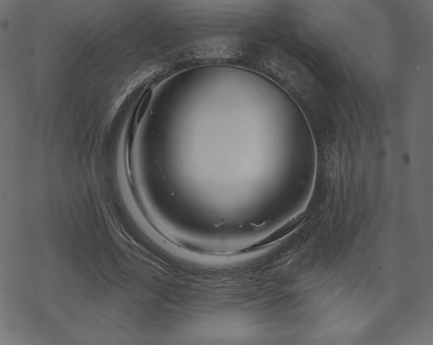 X0000070220731200605301430
