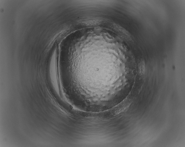 X0000070220733200605301430