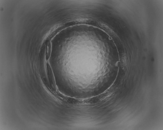 X0000070220734200605301430