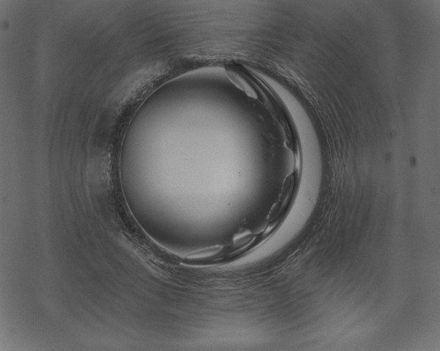 X0000070220735200605301430