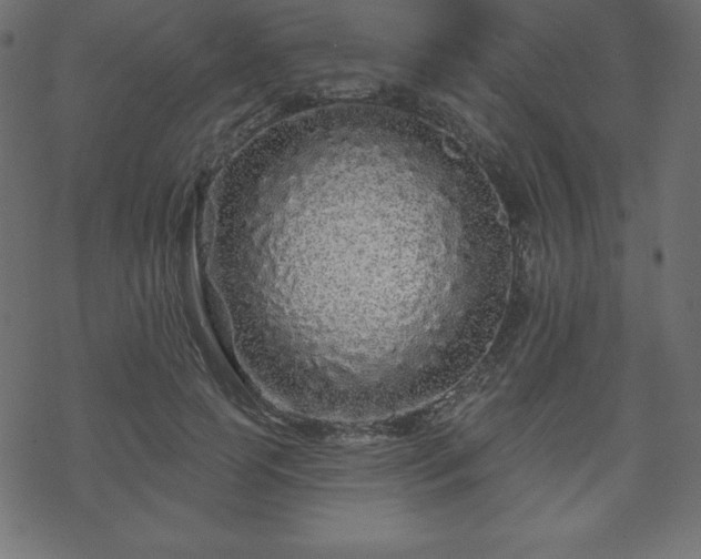X0000070220745200605301430