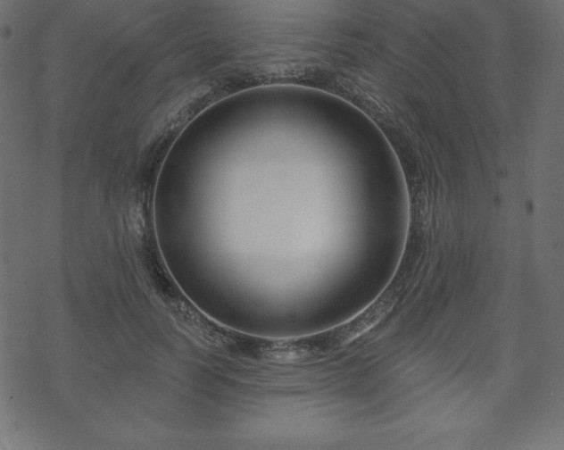X0000070220746200605301430